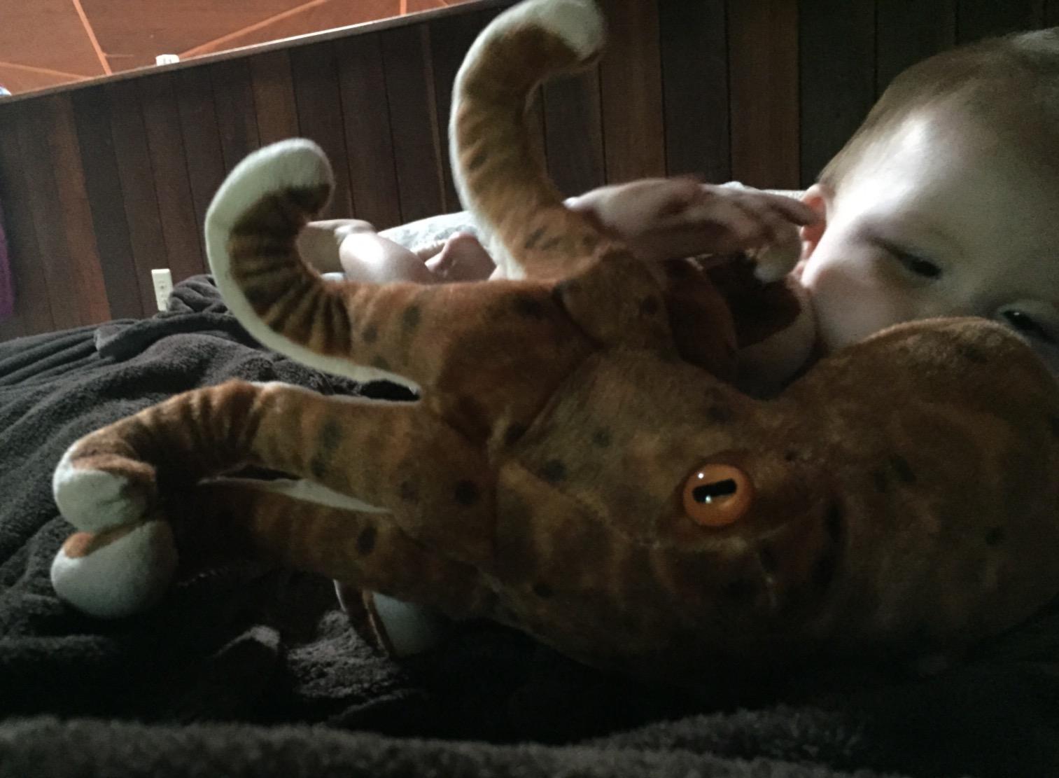 Wild Republic Octopus Plush, Stuffed Animal, Plush Toy, Gifts for Kids, Cuddlekins 12 Inches customer photo 1
