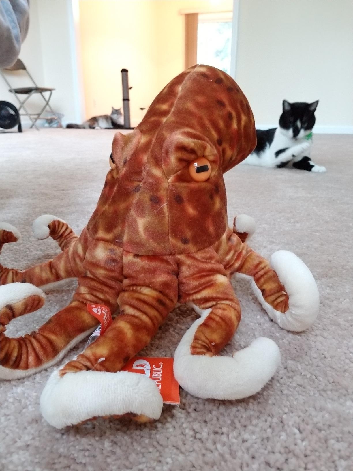 Wild Republic Octopus Plush, Stuffed Animal, Plush Toy, Gifts for Kids, Cuddlekins 12 Inches customer photo 2
