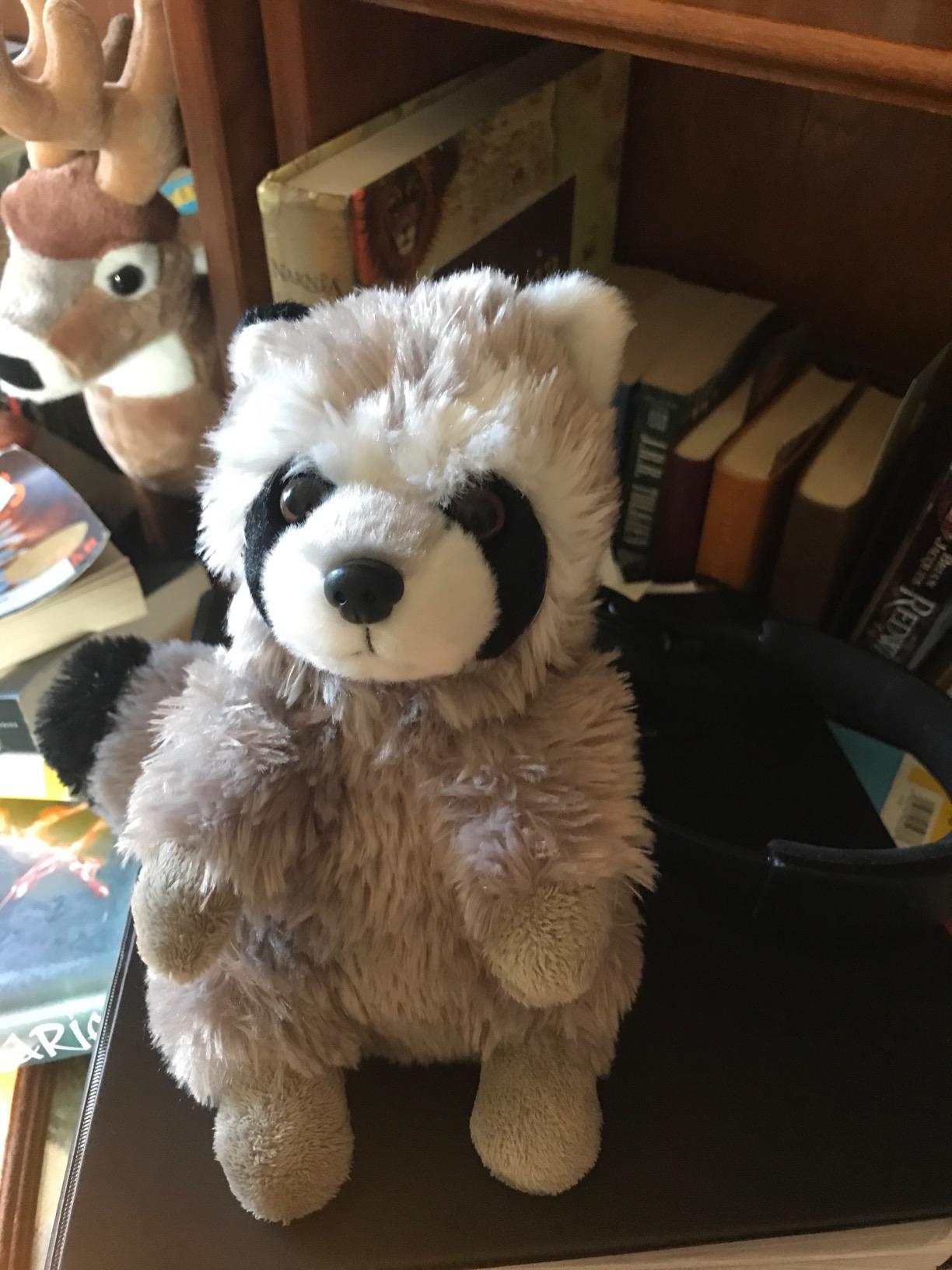 Wild Republic Raccoon Plush, Stuffed Animal, Plush Toy, Gifts for Kids, Cuddlekins 8 Inches customer photo 1
