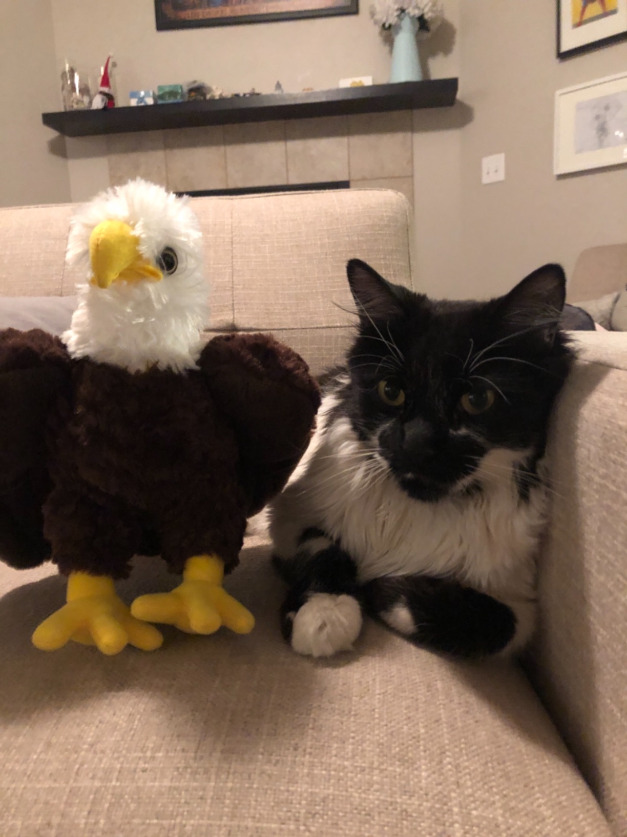 Wild Republic Bald Eagle Plush, Stuffed Animal, Plush Toy, Gifts for Kids, Cuddlekins 8 Inches customer photo 2