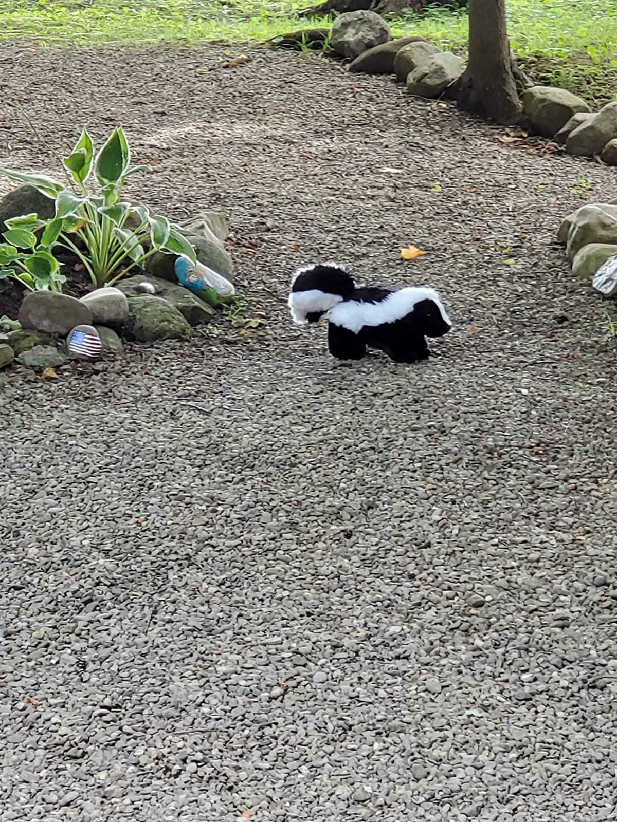 Wild Republic Skunk Plush, Stuffed Animal, Plush Toy, Gifts for Kids, Cuddlekins 12 Inches customer photo 1