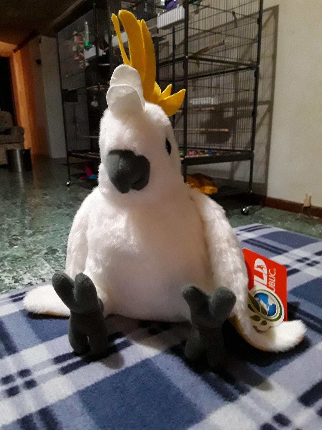 Wild Republic Cockatoo Plush, Stuffed Animal, Plush Toy, Gifts for Kids, Cuddlekins 12 Inches (10925) customer photo 2