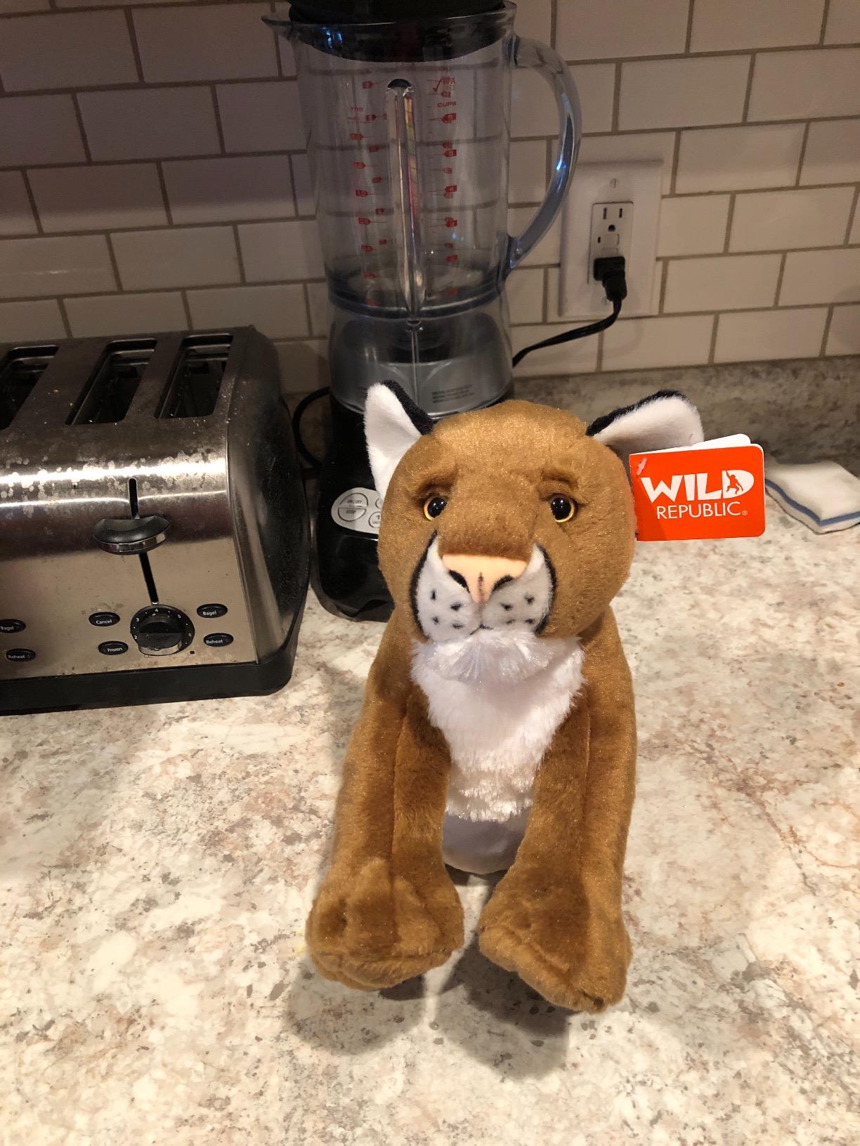 Wild Republic Mountain Lion Plush, Stuffed Animal, Plush Toy, Gifts for Kids, Cuddlekins 12 Inches customer photo 1