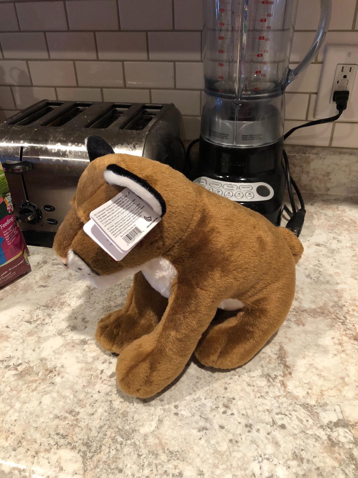 Wild Republic Mountain Lion Plush, Stuffed Animal, Plush Toy, Gifts for Kids, Cuddlekins 12 Inches customer photo 2