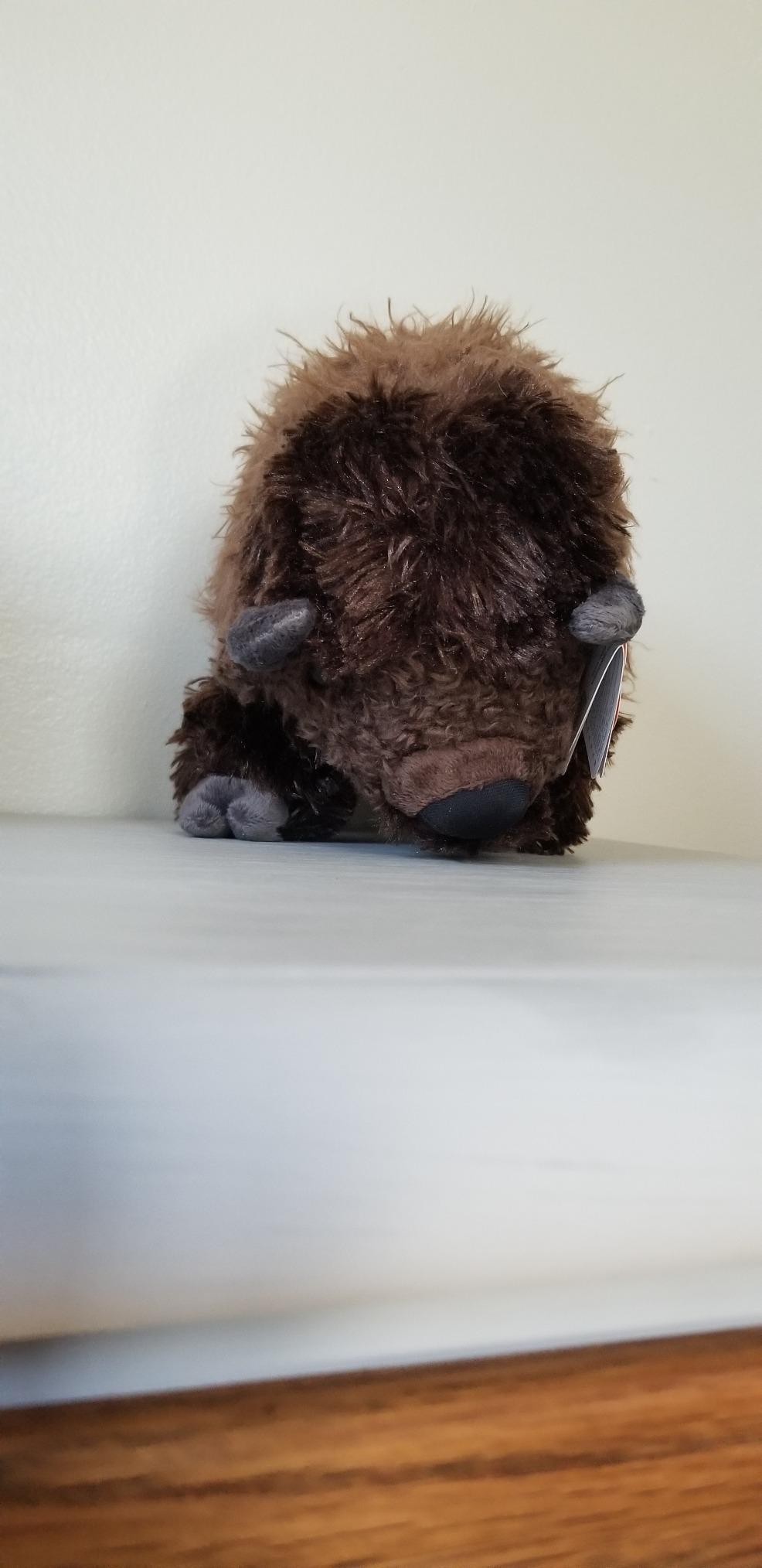 Wild Republic Bison Plush, Stuffed Animal, Cuddlekins 8 Inches customer photo 2