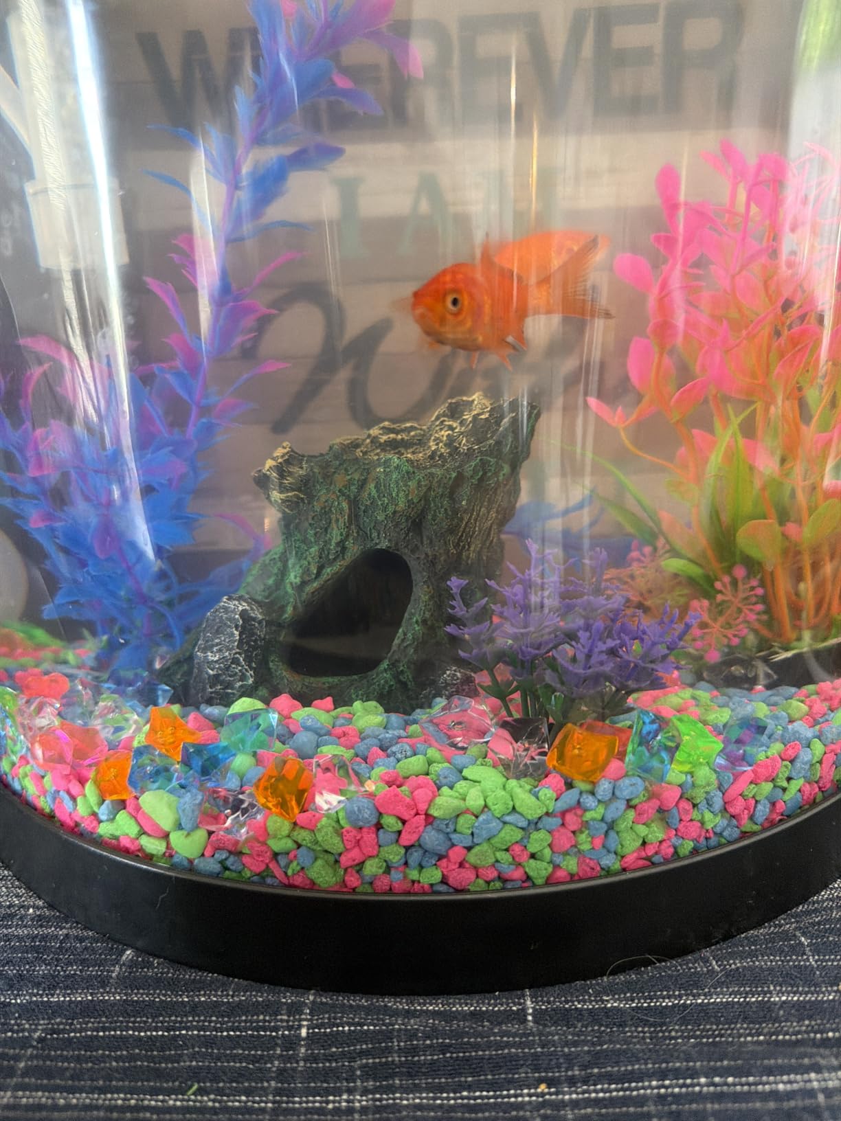 GloFish Aquarium Gravel, Pink/Green/Blue Mix, Complements GloFish Tanks, 5 Pounds customer photo 1