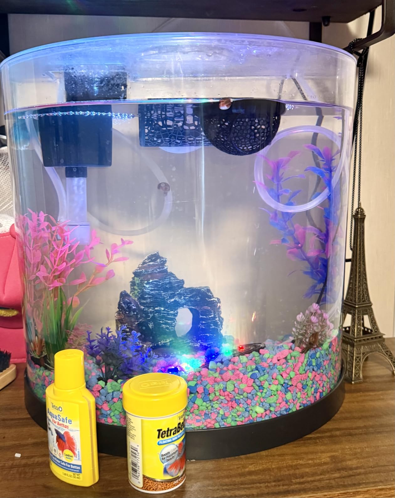 GloFish Aquarium Gravel, Pink/Green/Blue Mix, Complements GloFish Tanks, 5 Pounds customer photo 2