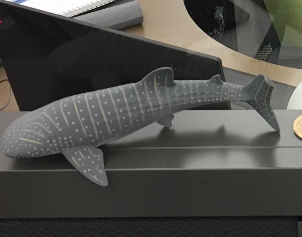 Safari Ltd. Whale Shark Figurine - Detailed 7.25
