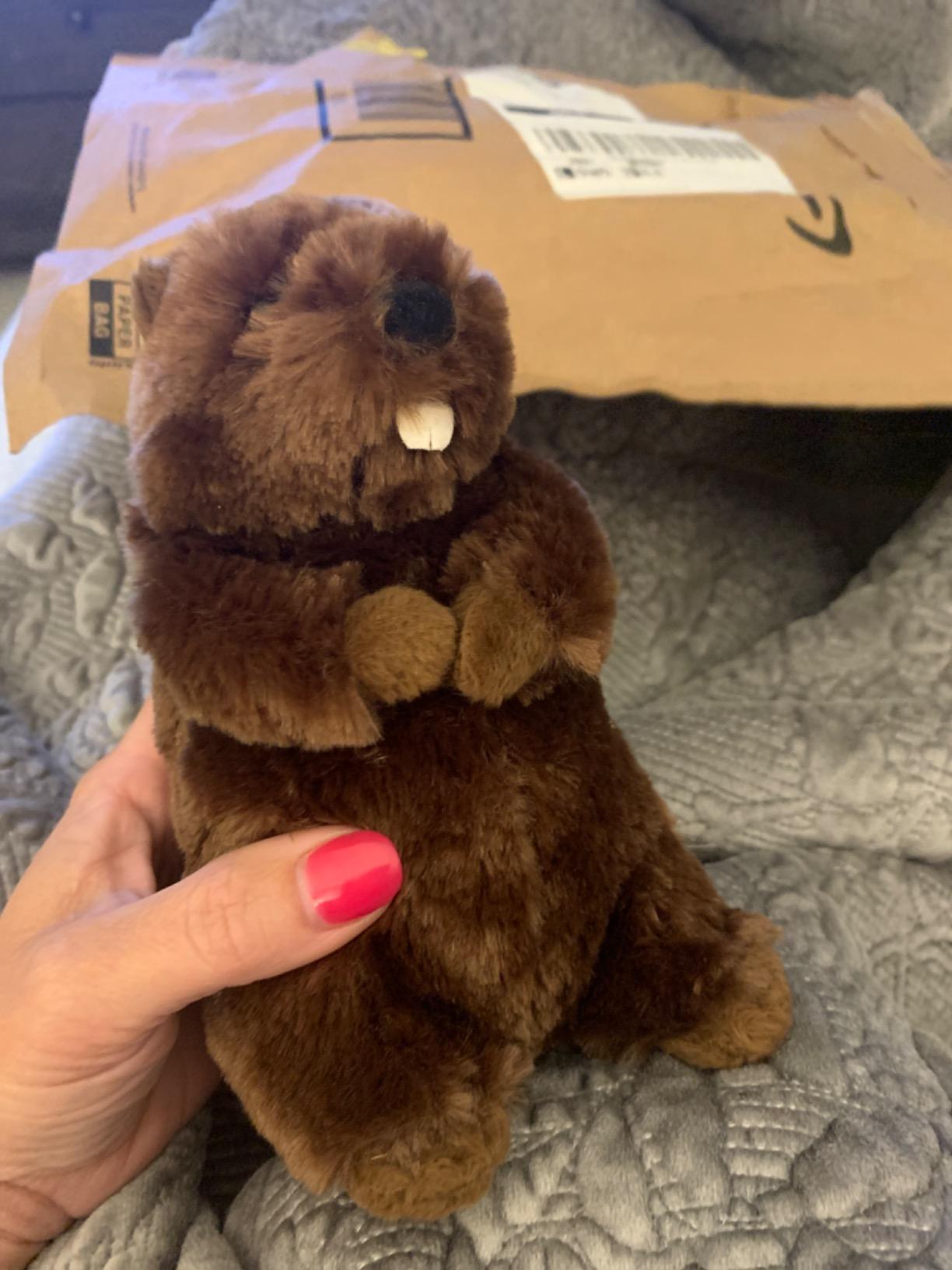 Douglas Buddy Beaver Plush Stuffed Animal - 7-inch Tall customer photo 2