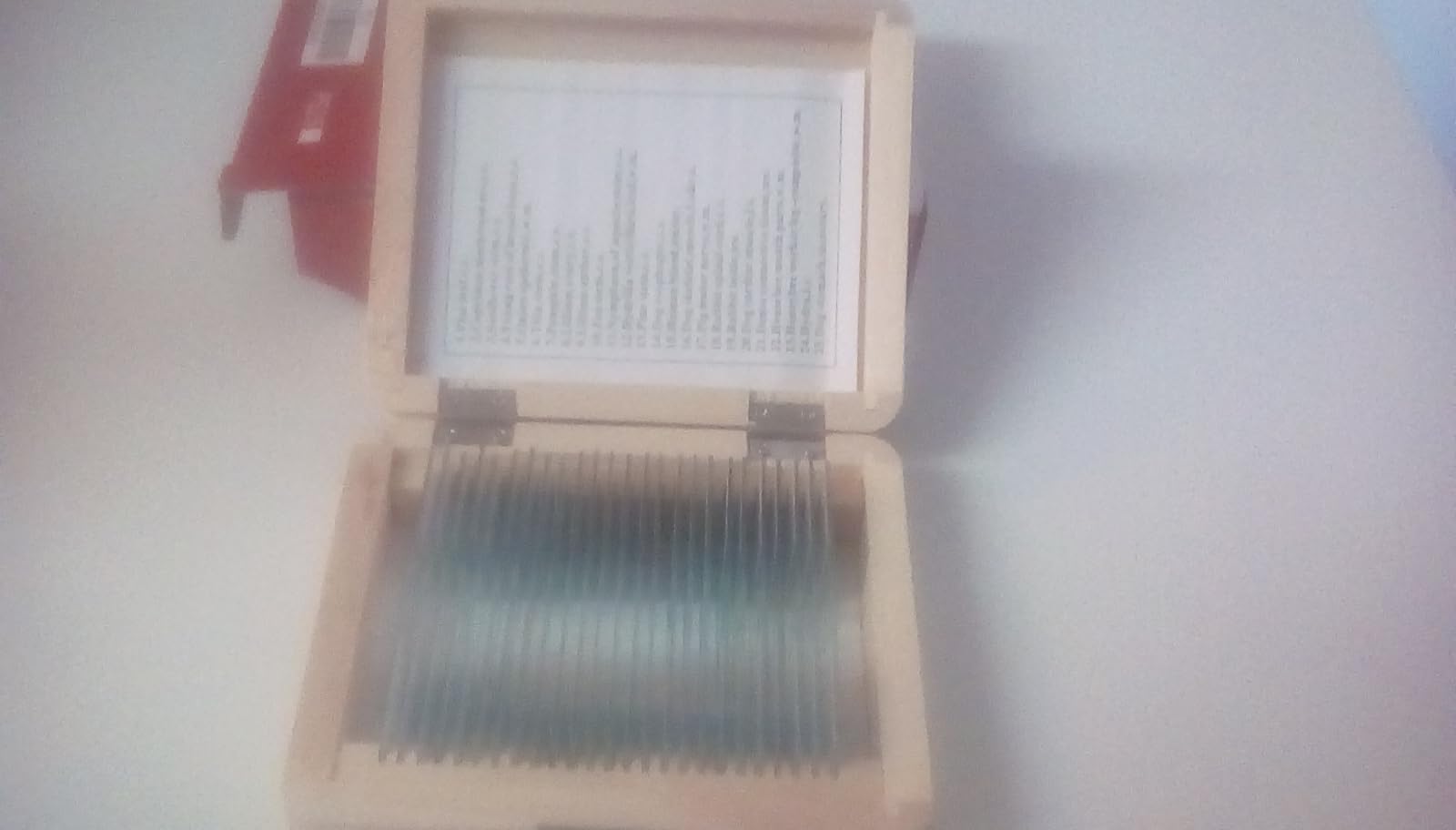 AmScope PS25P Prepared Microscope Slides, Plastic Case, 25pc | 25-Piece Set with Plant, Fungus, Insect & Mammal Specimens, Includes Plastic Storage Case customer photo 2