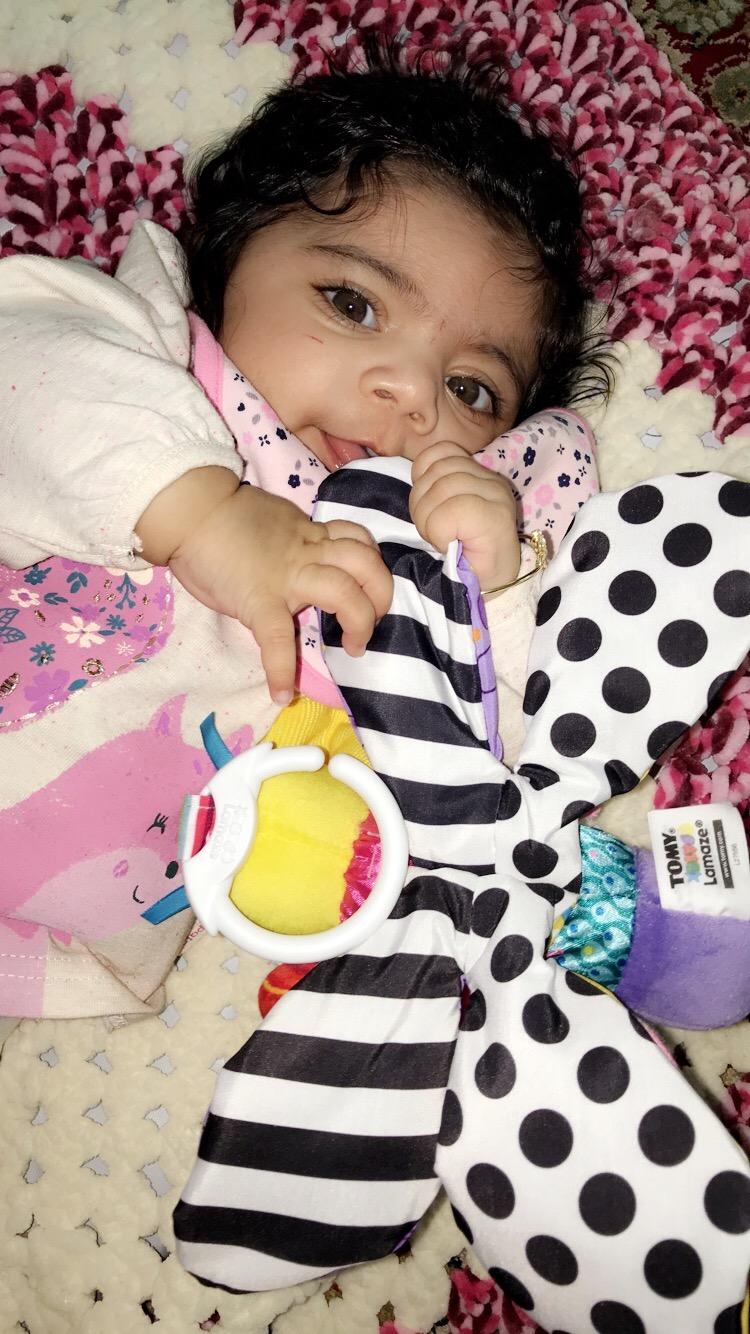 Lamaze Fifi the Firefly Clip-On Car Seat and Stroller Toy | Crinkle Sensory Toy, Travel Toy for Car, Soft Plush Texture, Baby Stroller Toy, Car Seat Toy, Ages 0 Months+ customer photo 2