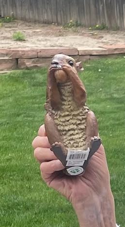 Design Toscano Woodland Squirrel Statue: Chomper customer photo 2