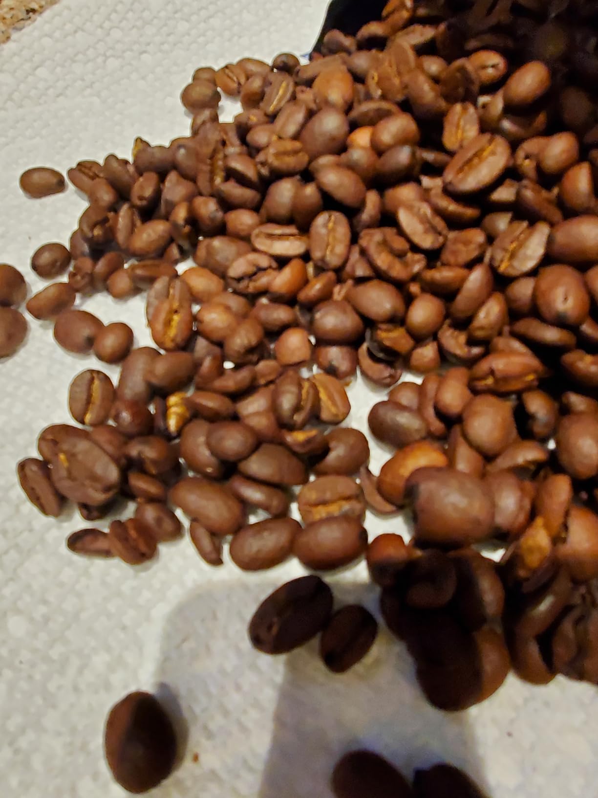 Manatee Gourmet Whole Bean Coffee, Medium Roast, Caribbean Delight 2 lb | 2 Pound Bag, Vegan, Allergen Free, Non-GMO, Kosher, Vegetarian, Small Batch Roasted customer photo 1