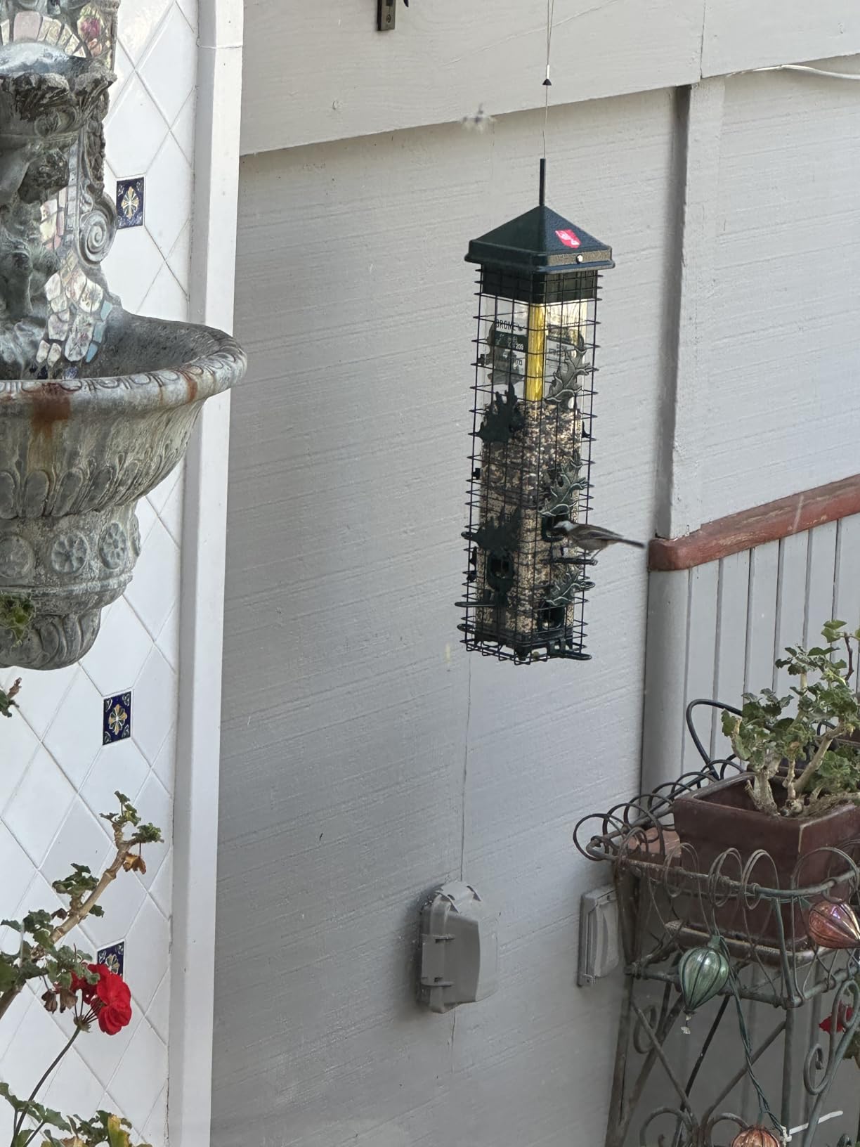 Brome Squirrel Solution200 Squirrel-Proof Bird Feeder w/6 Feeding Ports, 3.4-pound Seed Capacity, Free Seed Funnel customer photo 1