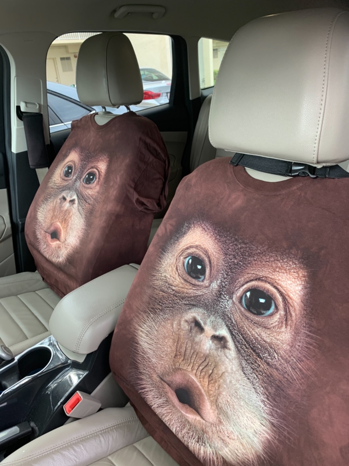 The Mountain Men's Big Face Baby Orangutan T-Shirt customer photo 2