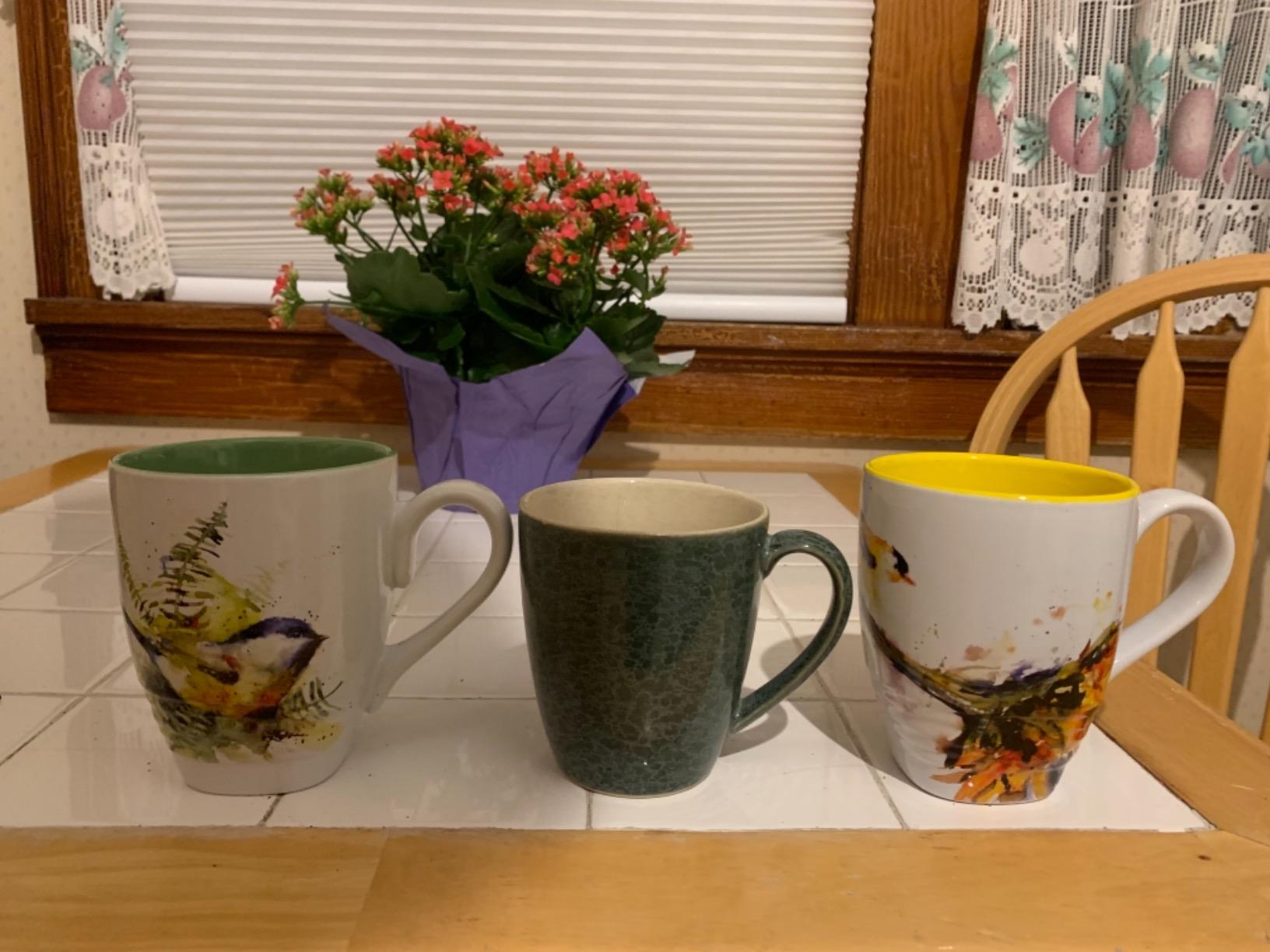 DEMDACO Watercolor Red and White Cardinal Mug by Dean Crouser | Bird-Themed Mug for Daily Use, Dishwasher-Safe, Microwave-Safe, Hand-Crafted Stoneware, 16 Ounces, Everyday Drinkware customer photo 1