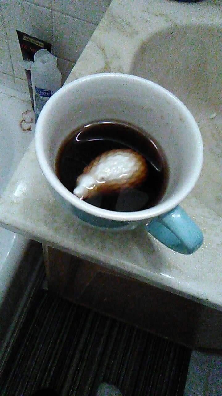 Creature Cups Frog - Ceramic Mug with Hidden 3D Animal - Unique Gift for Coffee & Tea Lovers customer photo 2