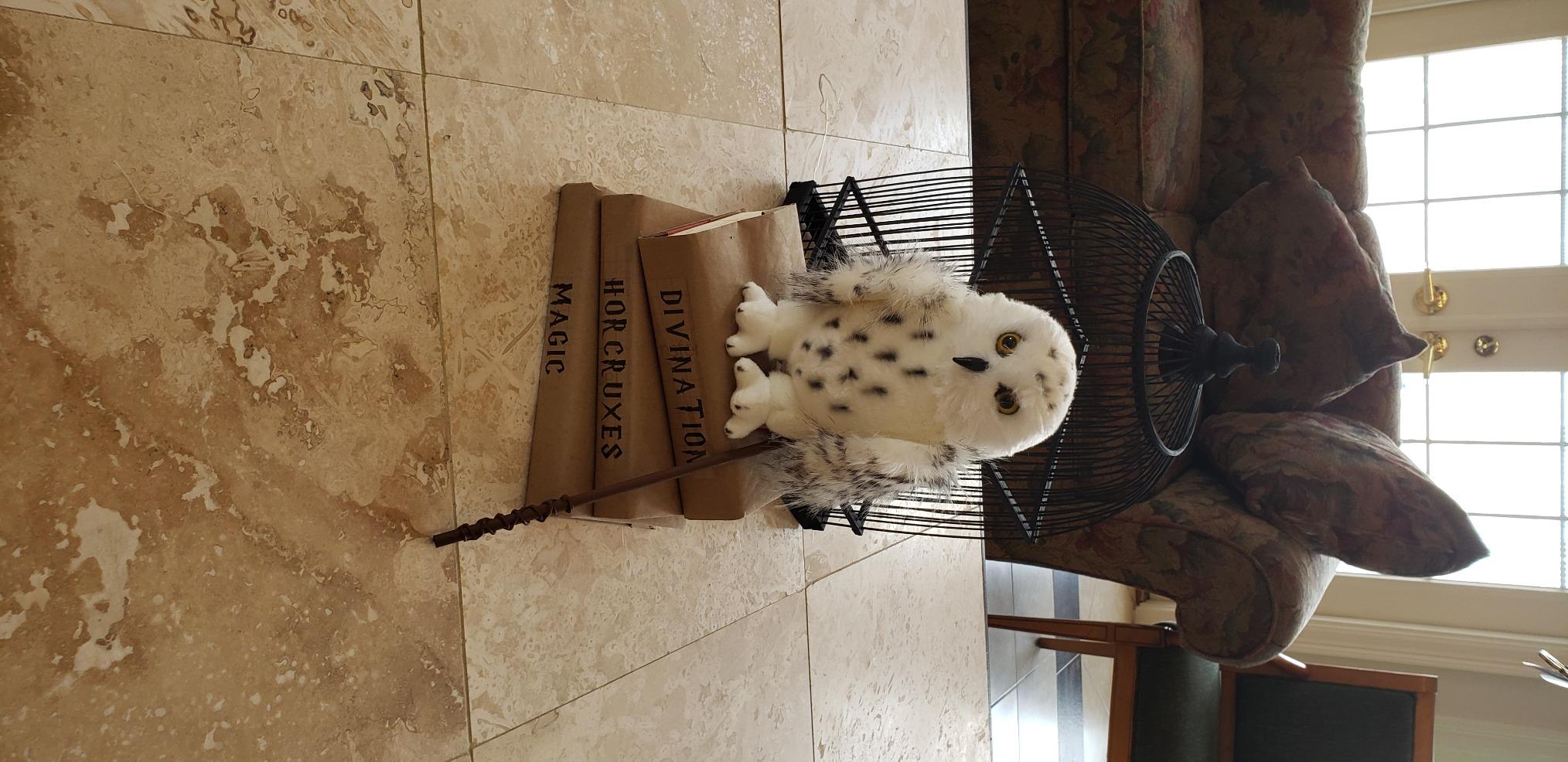 Douglas Legend Snowy Owl Plush Stuffed Animal customer photo 2