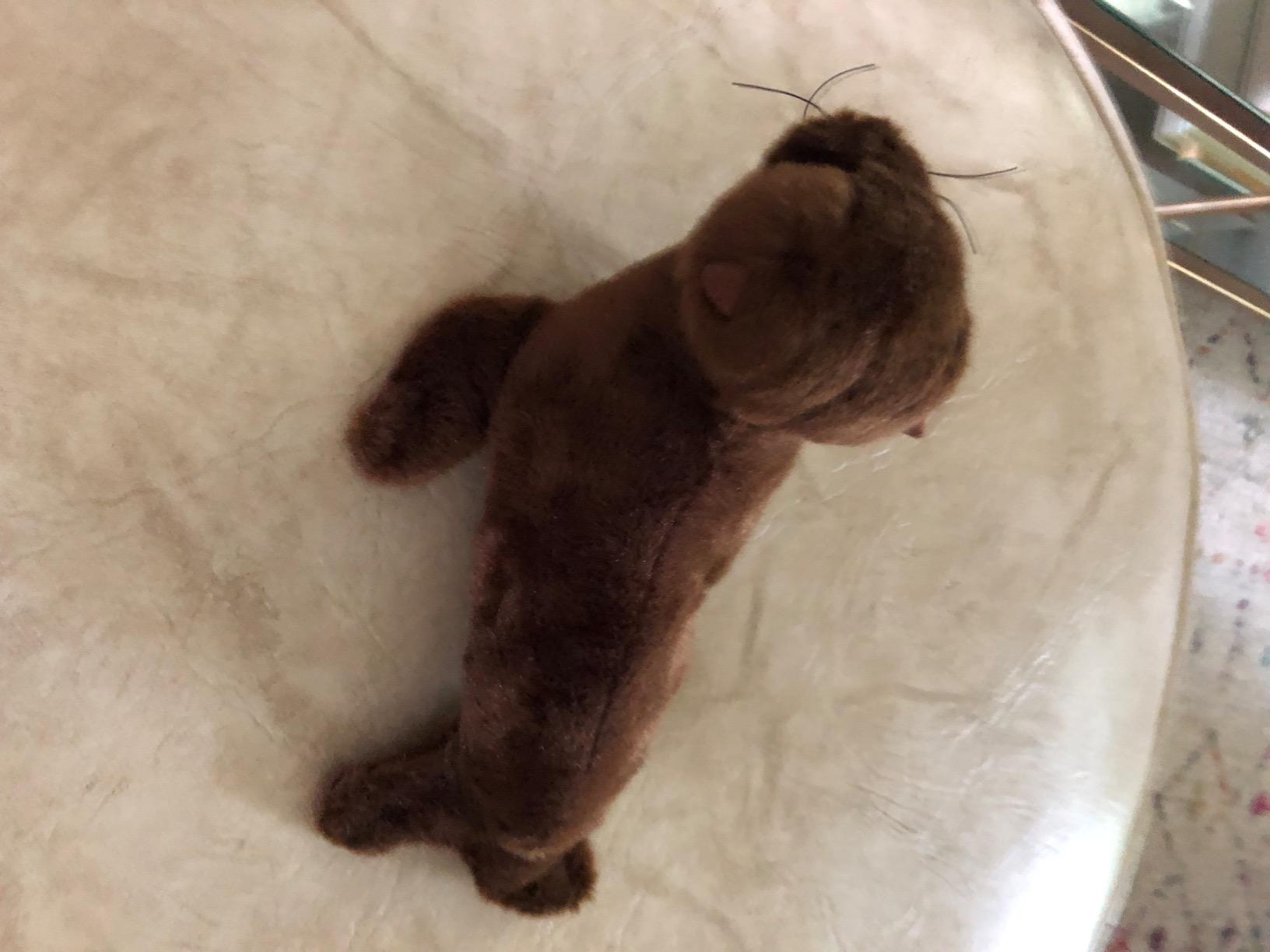 Aurora Adorable Mini Flopsie California Sea Lion Stuffed Animal - Brown 8 Inches customer photo 2
