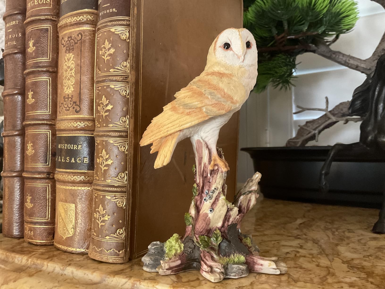 Veronese Design Barn Owl Statue, 5 Inch Hand-Painted Resin on Tree Stump | Tan Feathers with Gray Spots, Winding Green Vines, Bristly Lichens, Off-White Tabletop Figure customer photo 1