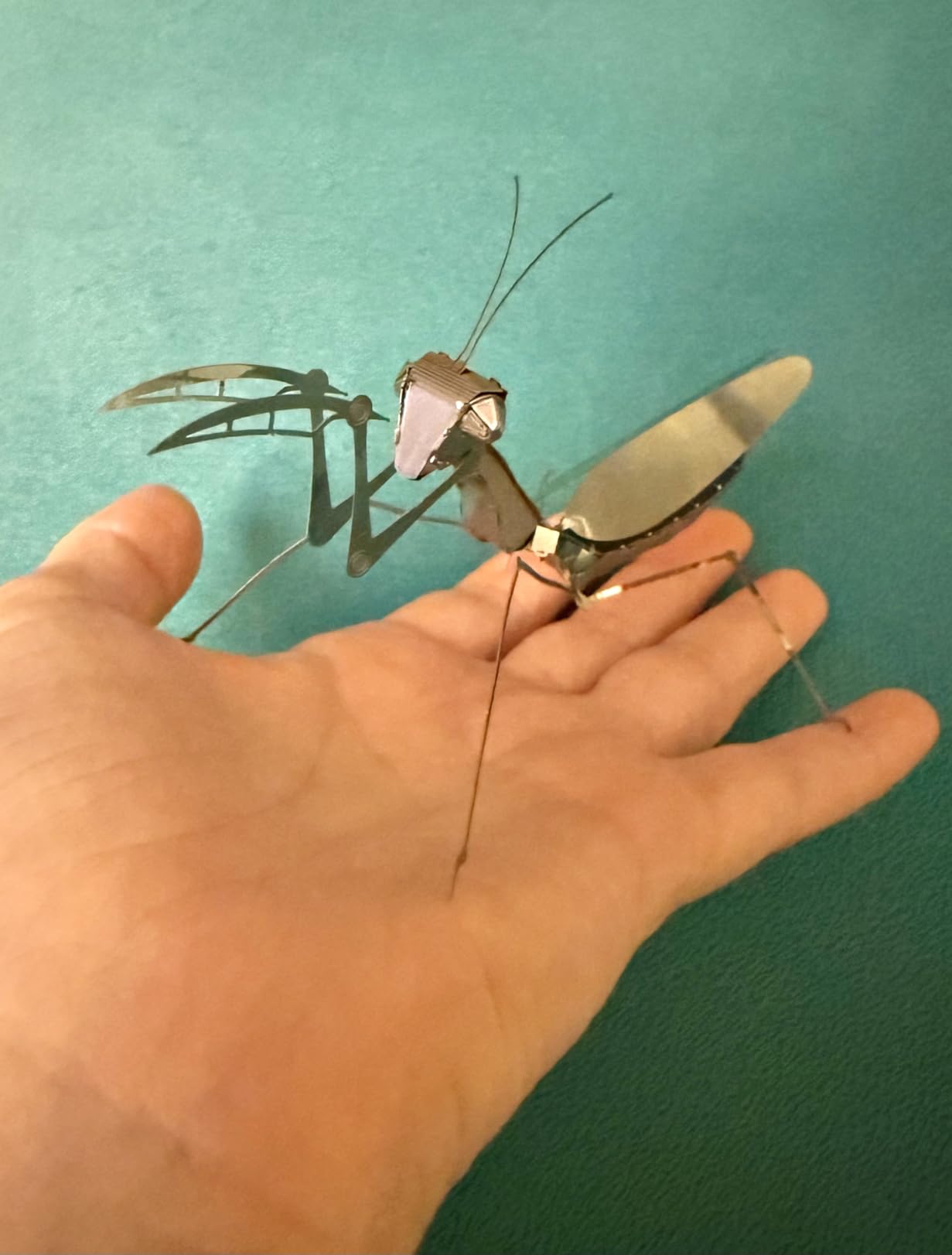 Metal Earth Praying Mantis 3D Kit customer photo 2