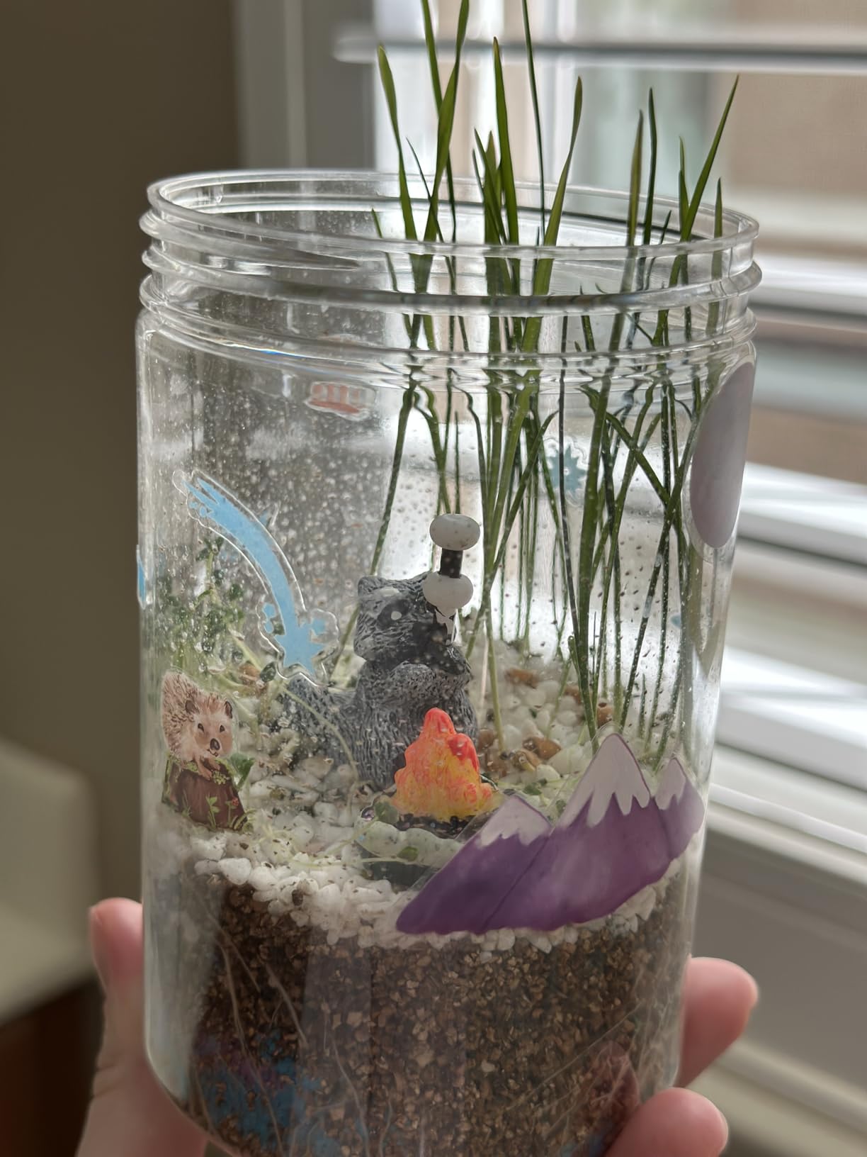 Creativity for Kids Grow 'N Glow Terrarium Kit - Educational Science Kits | Screen Free Summer Fun Activities | Gifts for Boys and Girls | Craft and STEM Projects (Ages 6+) customer photo 2
