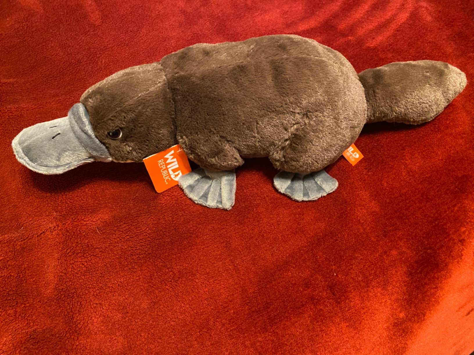 Wild Republic Platypus Plush, Stuffed Animal, Plush Toy, Gifts for Kids, Cuddlekins 12 inches customer photo 1