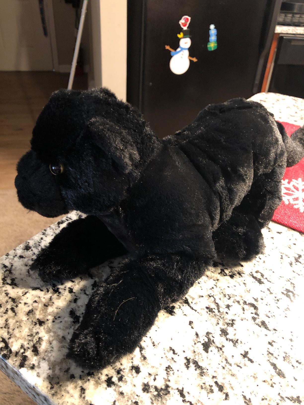 Wild Republic Gorilla Baby Plush, Stuffed Animal, Plush Toy, Kids Gifts, Cuddlekins, 8 Inches customer photo 1