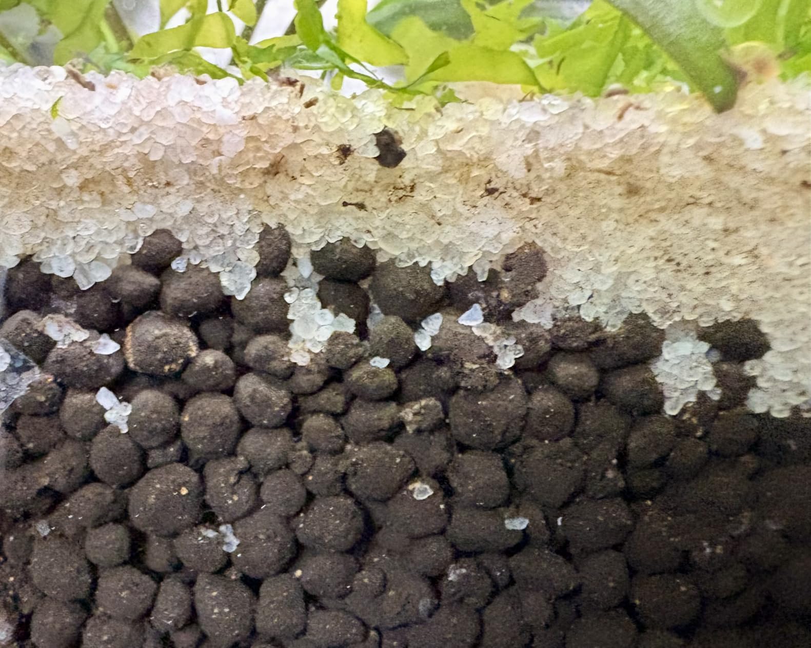 Fluval 12694 Plant and Shrimp Stratum for Freshwater Fish Tanks, 8.8 lbs. | Aquarium Substrate for Strong Plant Growth, Supports Neutral to Slightly Acidic pH customer photo 1