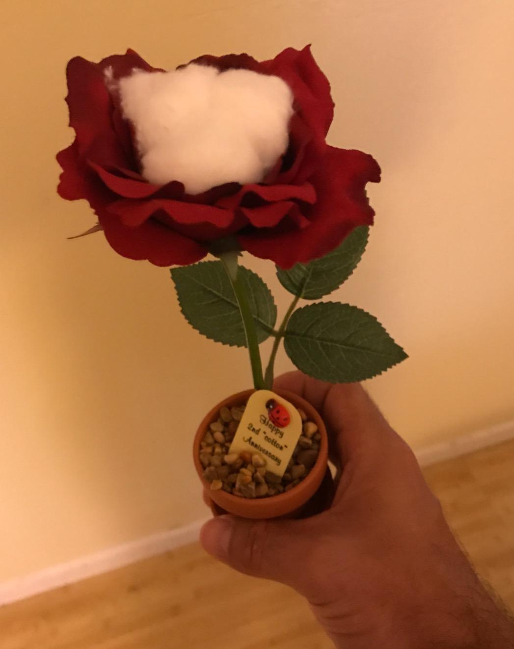 9th Anniversary Pottery Rose Gift - Natural Pottery Color - 7