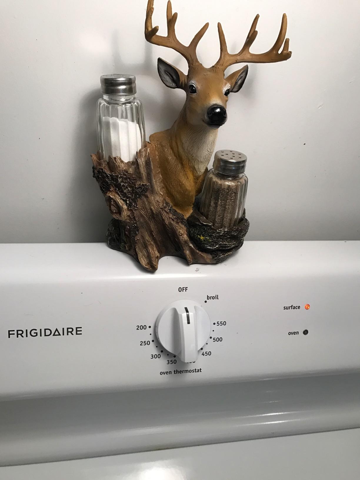 Rustic Deer Glass Salt and Pepper Shaker Set with Decorative Big Buck Holder customer photo 2