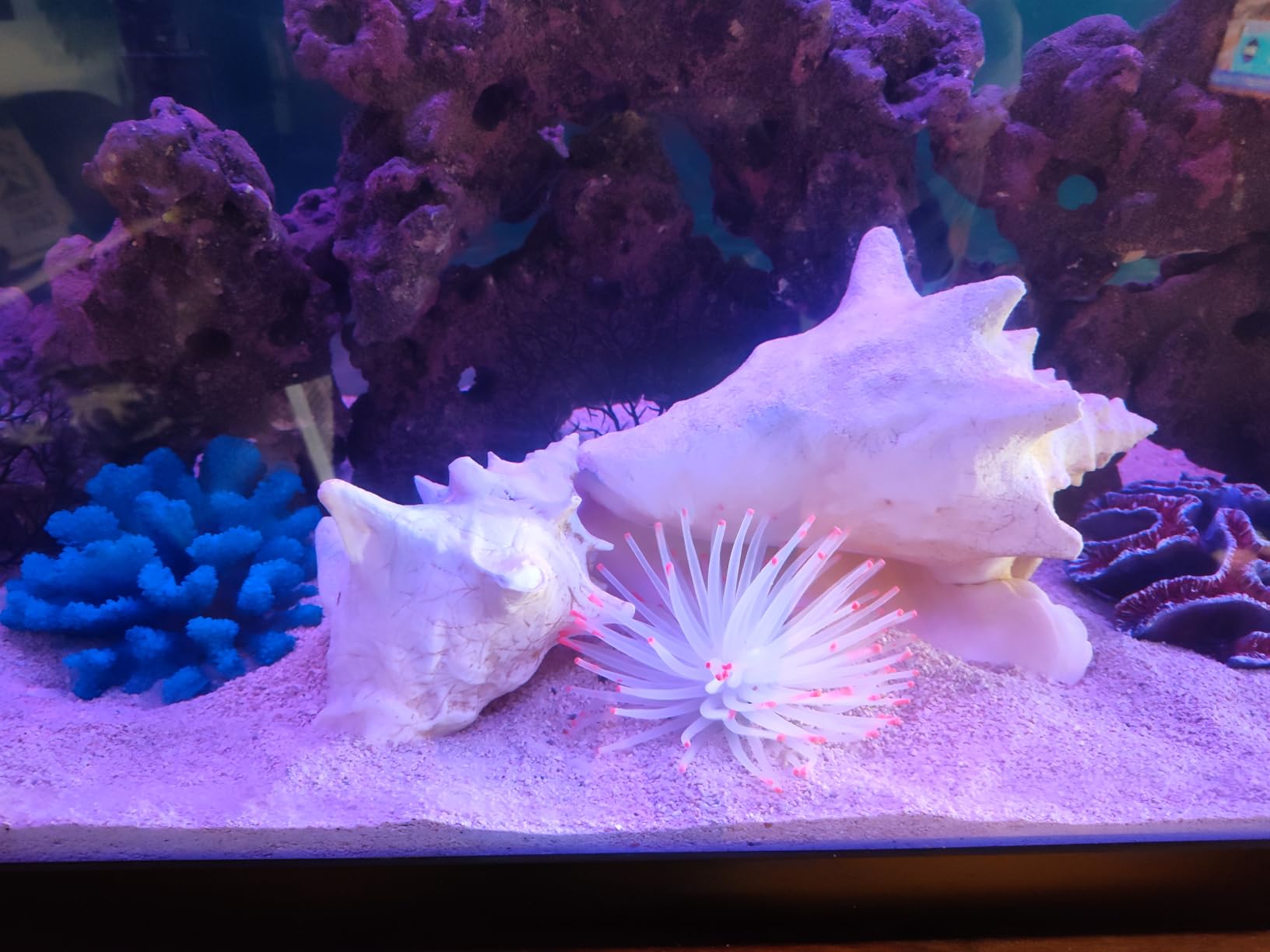 Artificial Aquarium Fish Tank Decoration Silicone Sea Anemone Artificial Fish Tank Ornament Decoration (White) customer photo 1