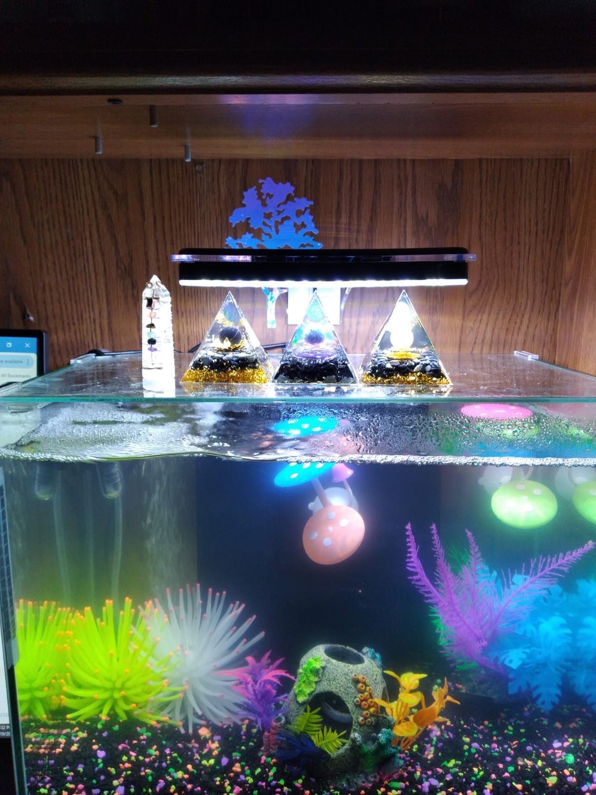 Artificial Aquarium Fish Tank Decoration Silicone Sea Anemone Artificial Fish Tank Ornament Decoration (White) customer photo 2