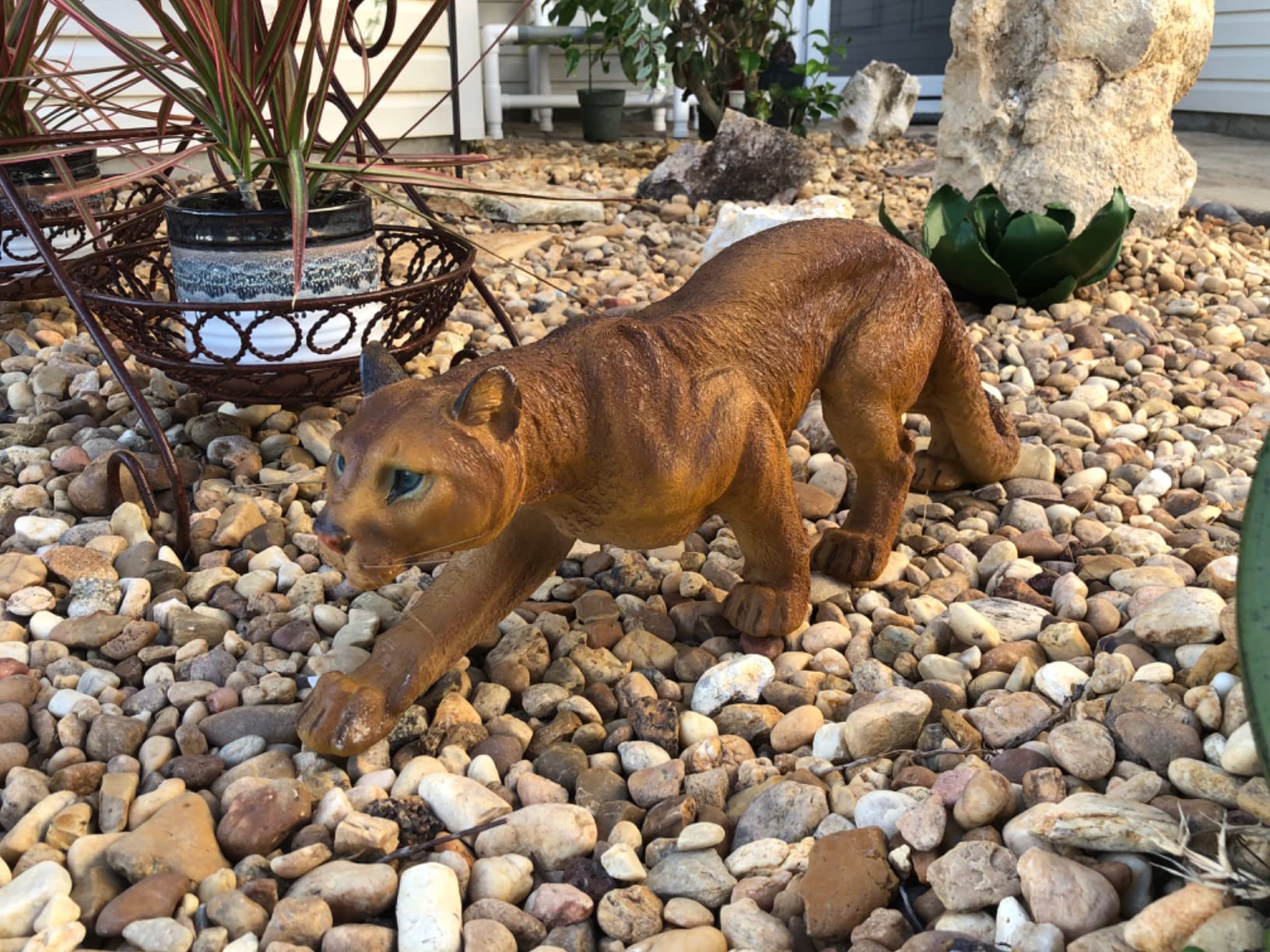 Design Toscano Prowling American Mountain Cougar Indoor/Outdoor Garden Statue, 22 Inches Wide, Handcast Polyresin, Full Color Finish customer photo 2