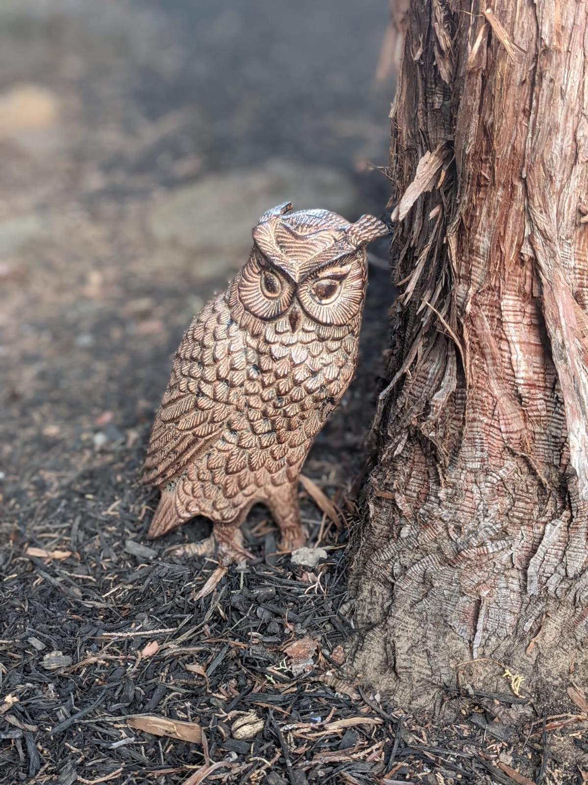 Achla Designs Great Horned Owl Garden Statue, Bronze customer photo 1