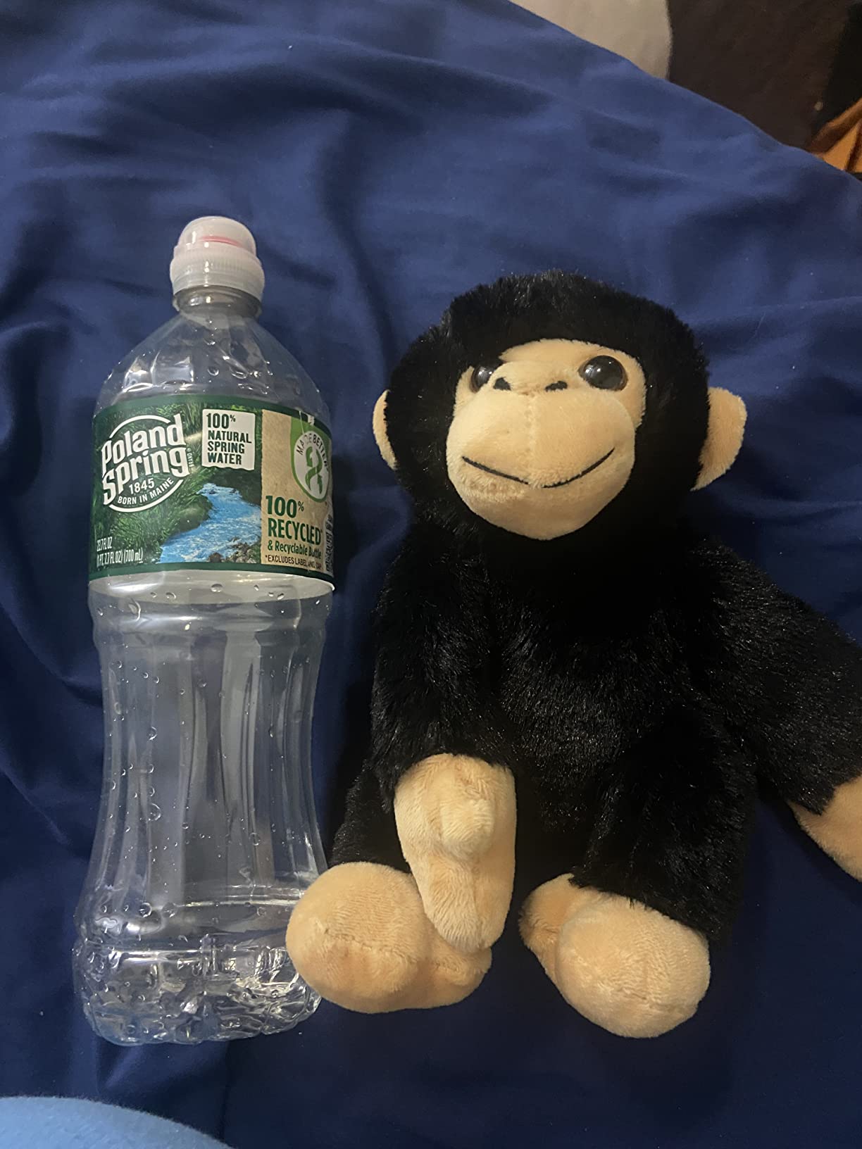 Wild Republic Chimp Plush, Stuffed Animal, Plush Toy, Gifts for Kids, Hug'EMS 7 Inches customer photo 1