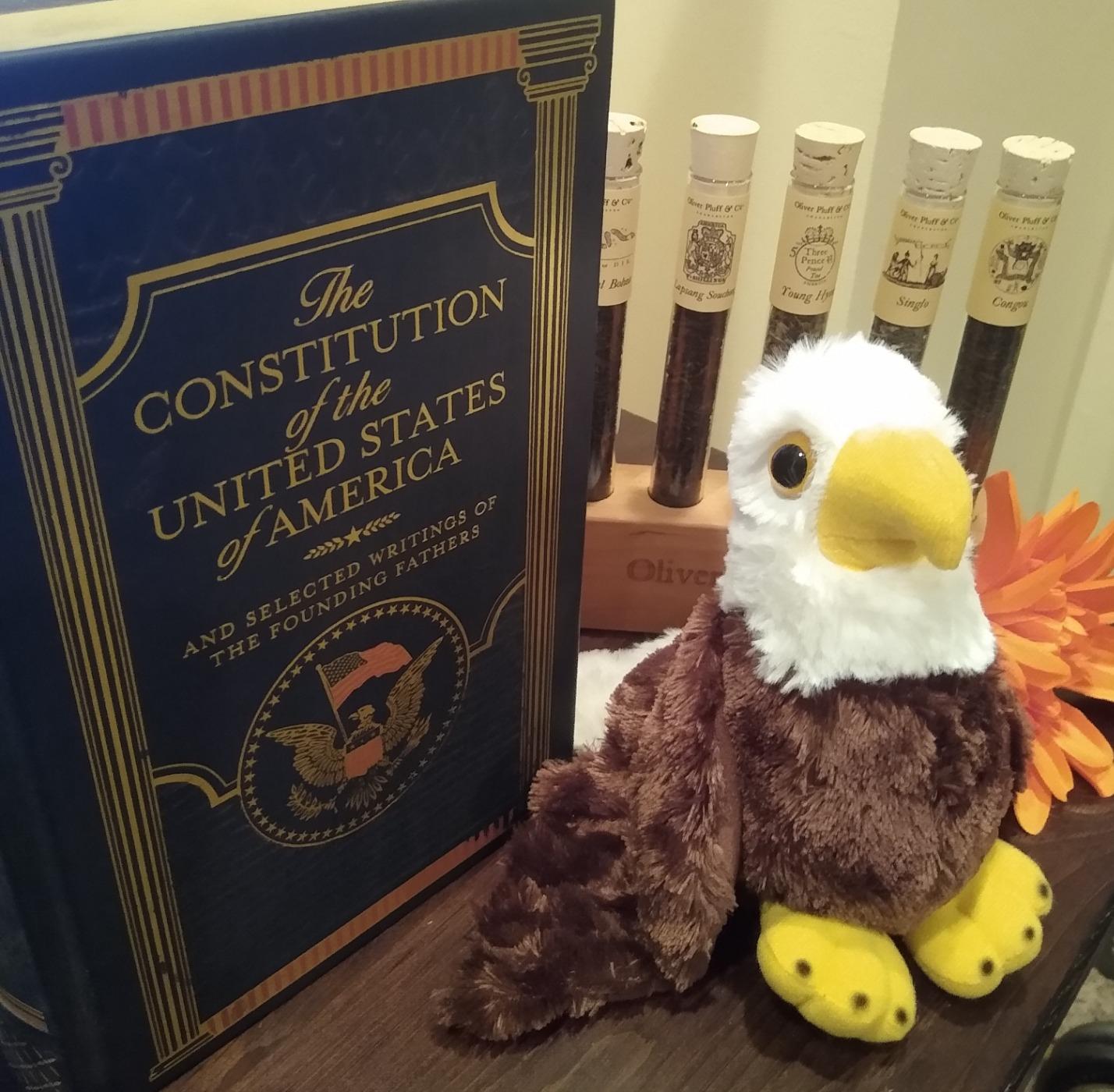 Wild Republic Hug'ems Mini Bald Eagle Stuffed Animal - 7