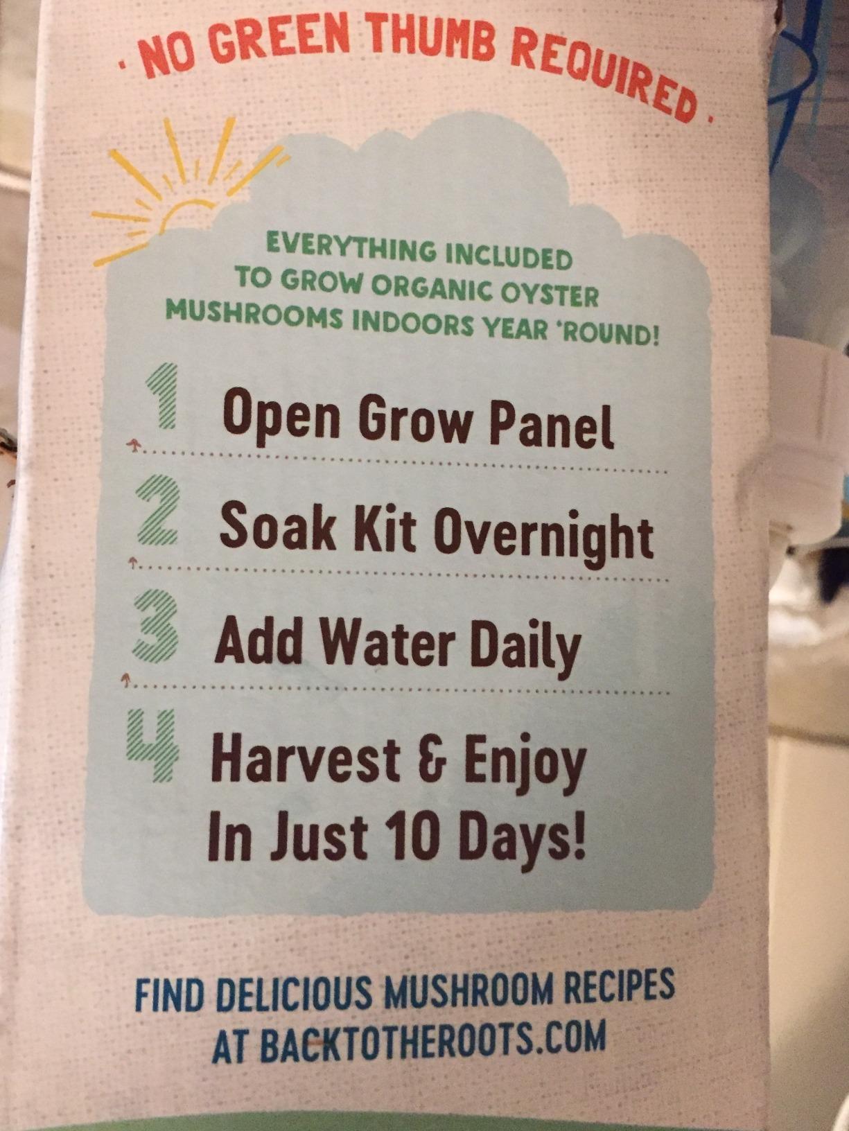 Back to the Roots Organic Mini Mushroom Grow Kit, Harvest Gourmet Oyster Mushrooms In 10 days, Top Gardening Gift, Holiday Gift, & Unique Gift customer photo 2