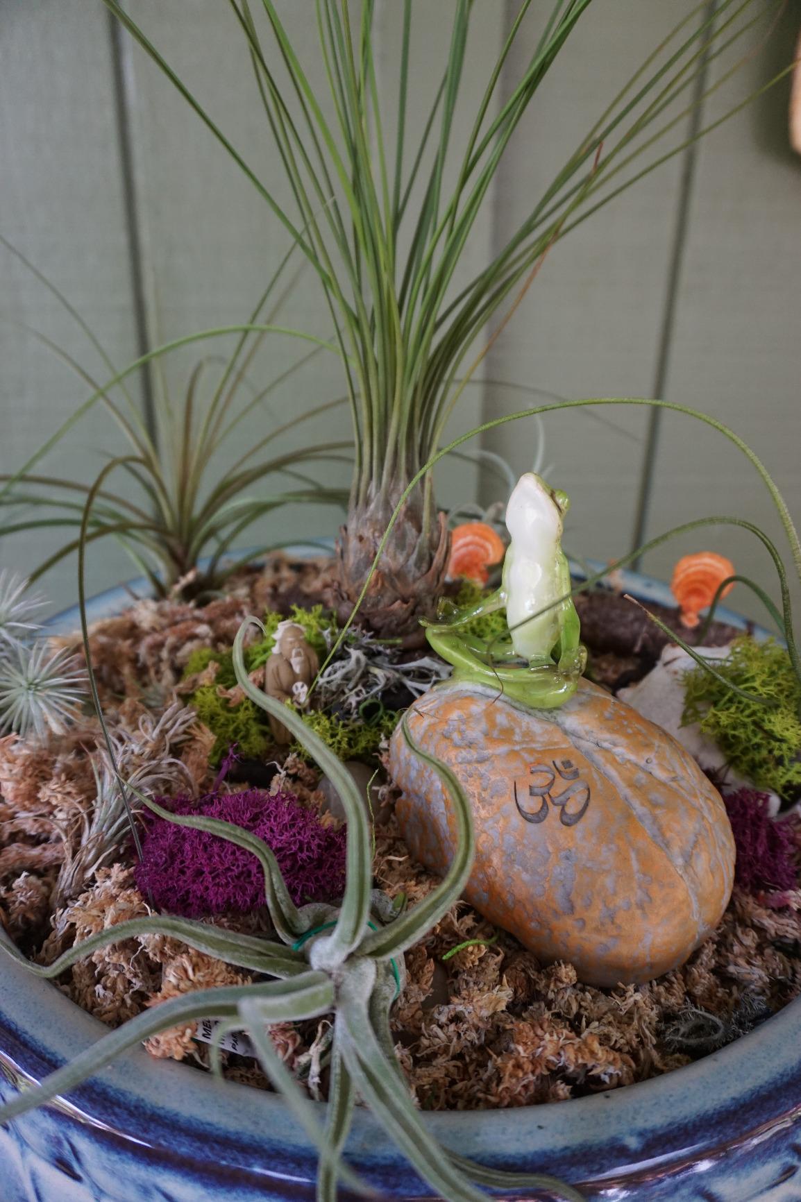 Top Collection Miniature Fairy Garden and Terrarium Statue, Frog Resting customer photo 2