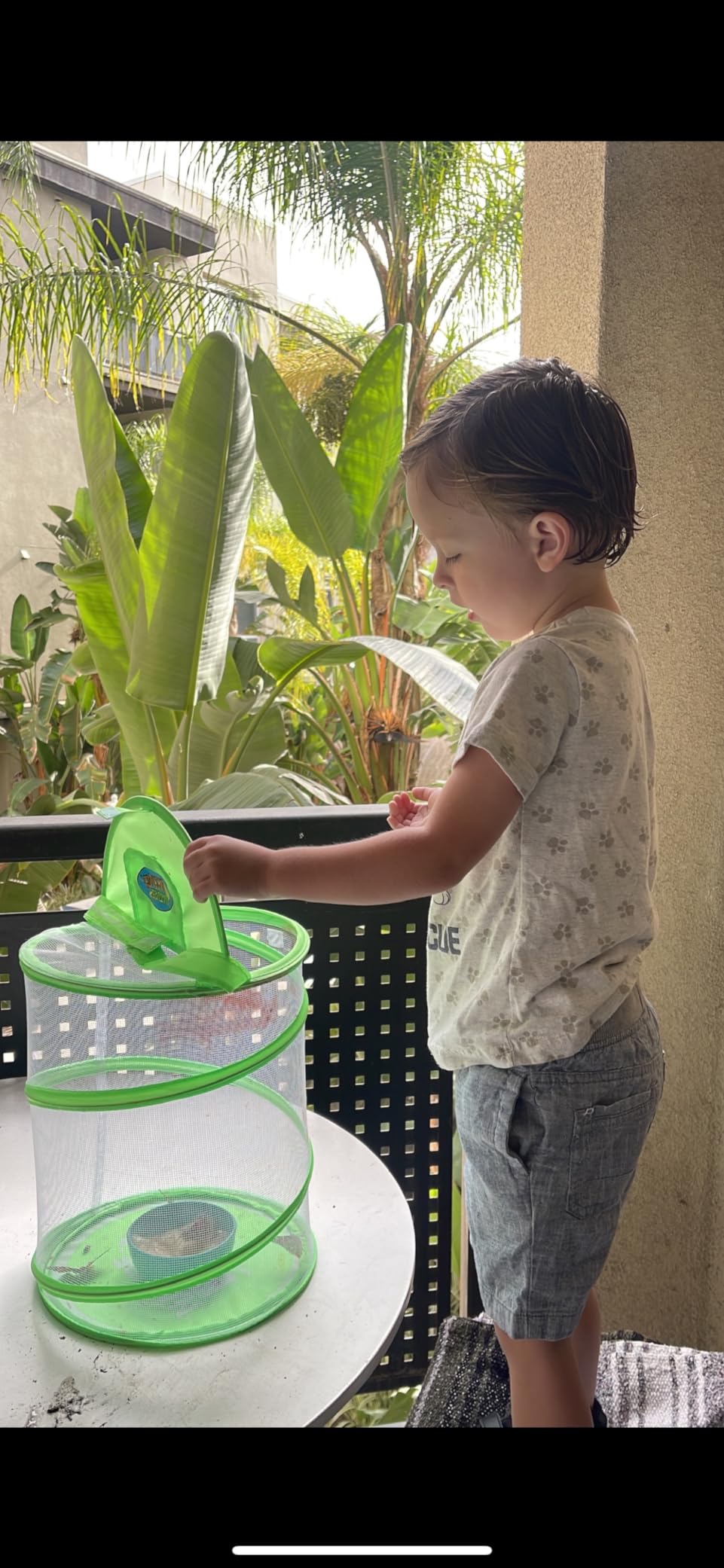 Nature Bound Butterfly Growing Kit - Live Caterpillar to Butterfly Project for Kids - Includes Voucher for Caterpillars, Green Pop-Up Enclosure, and STEM Learning Guide (Original Design) customer photo 1
