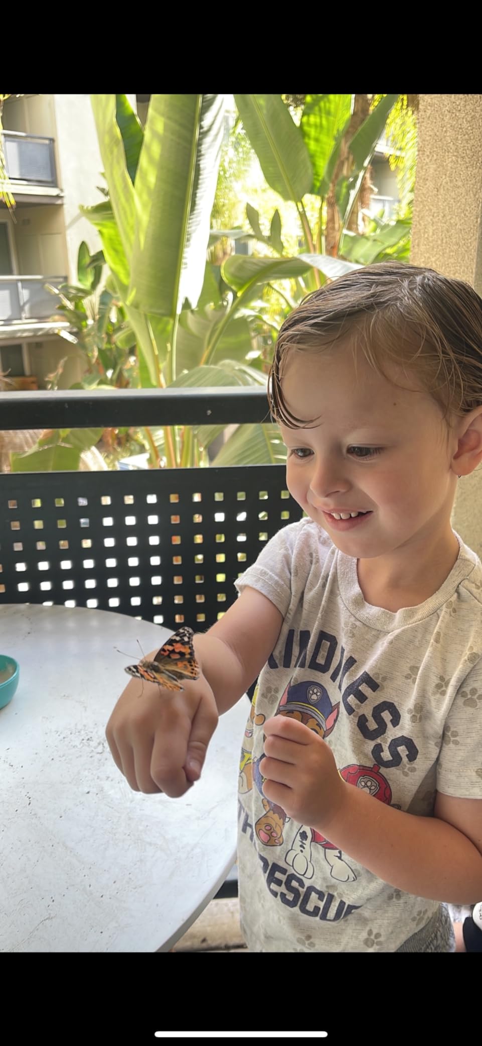 Nature Bound Butterfly Growing Kit - Live Caterpillar to Butterfly Project for Kids - Includes Voucher for Caterpillars, Green Pop-Up Enclosure, and STEM Learning Guide (Original Design) customer photo 2