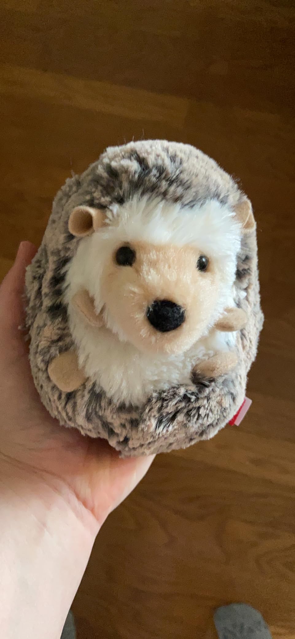 Douglas Spunky Hedgehog Plush Stuffed Animal customer photo 1