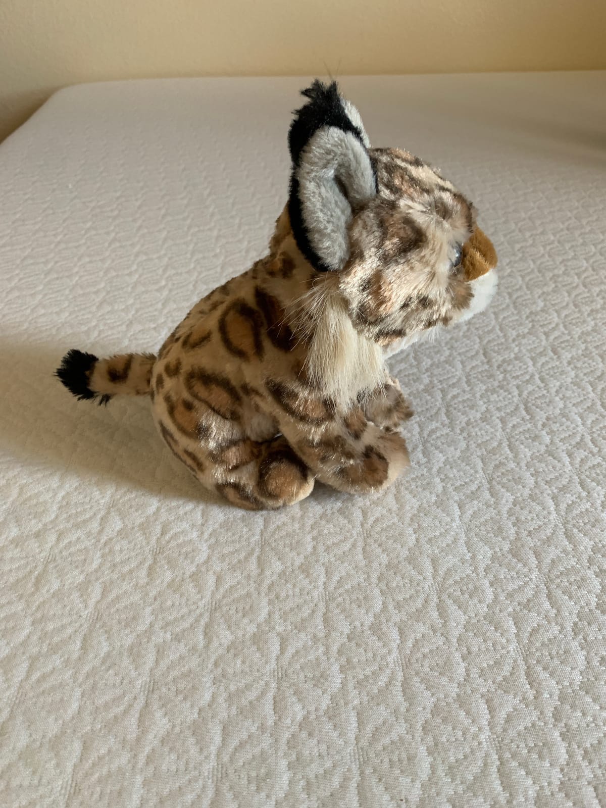 Wild Republic Cuddlekins Bobcat Stuffed Animal Plush, 8-Inch customer photo 2