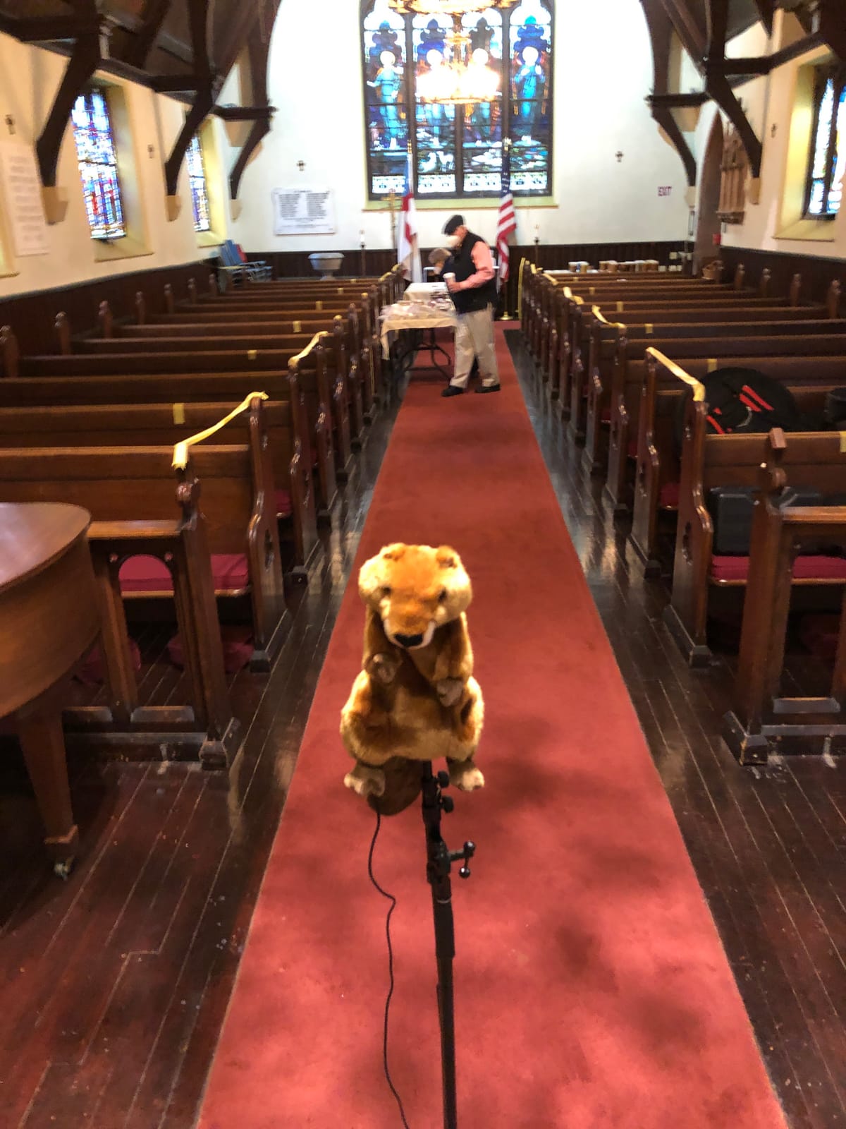 The Puppet Company Long-Sleeves Beaver Hand Puppet, 15 inches customer photo 1