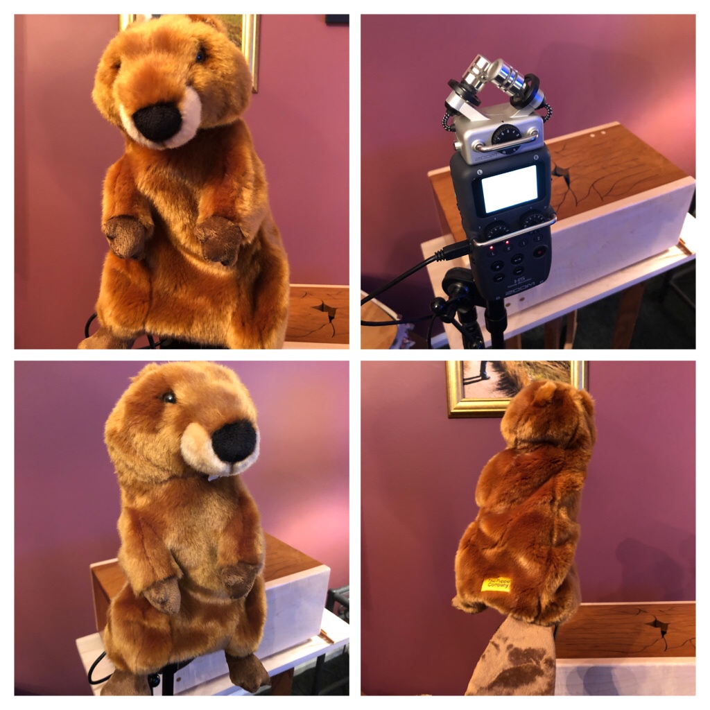 The Puppet Company Long-Sleeves Beaver Hand Puppet, 15 inches customer photo 2