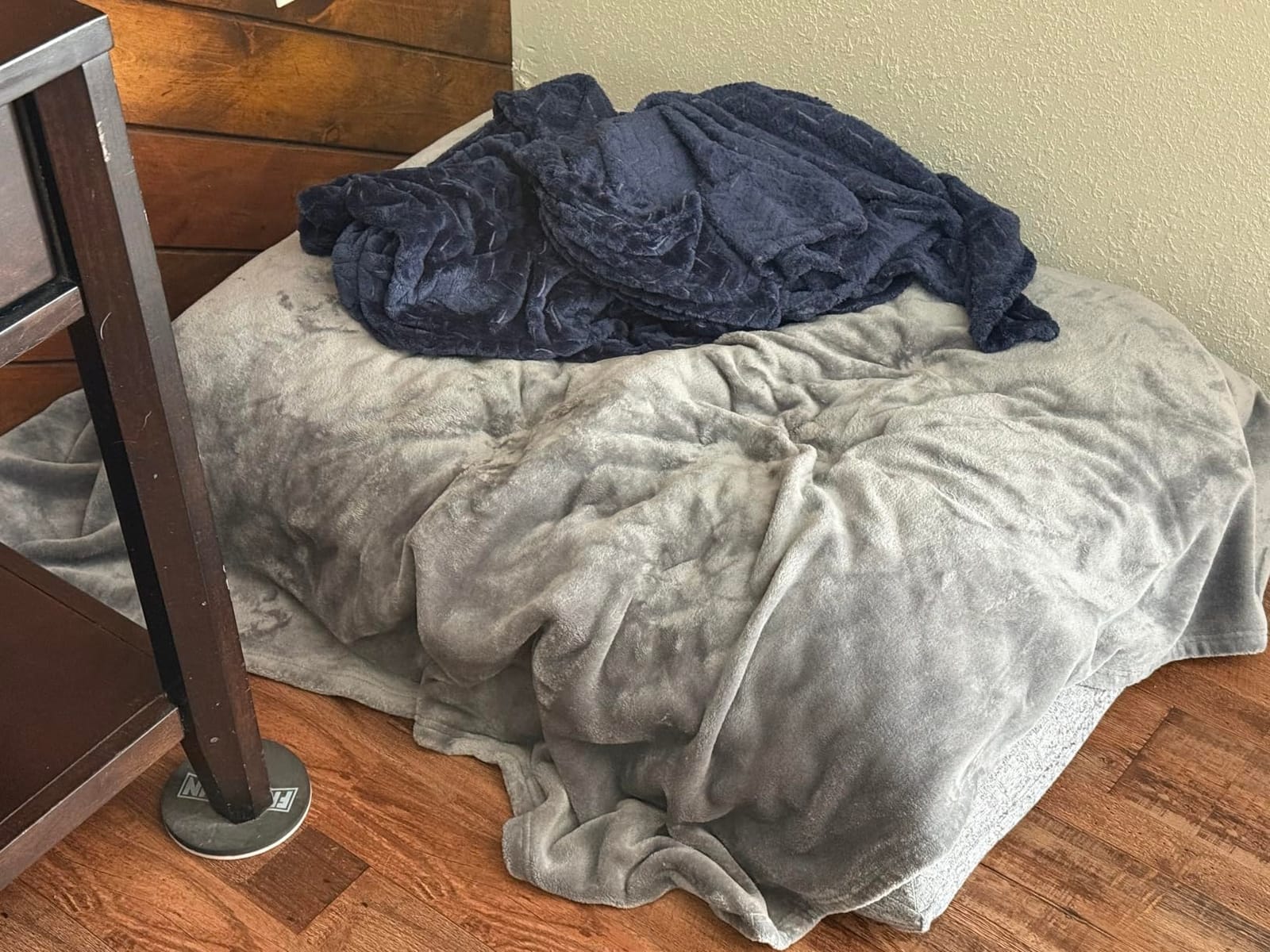 Bedsure Soft Fleece Throw Blanket for Couch Grey - Lightweight Fuzzy Cozy Halloween Decorations Blankets and Throws for Sofa, Couch, Travel, Camping, 50x60 inches customer photo 2