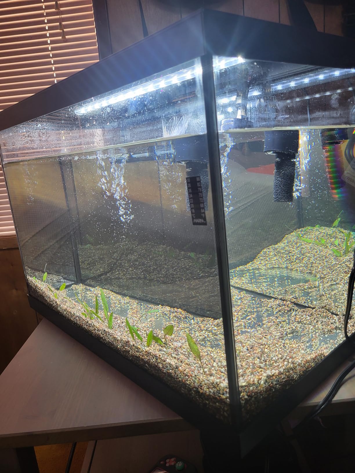 Marina 5 Gallon (19 L) LED Aquarium Kit | Ideal for Beginner Aquarists and New Fish-Keepers customer photo 2