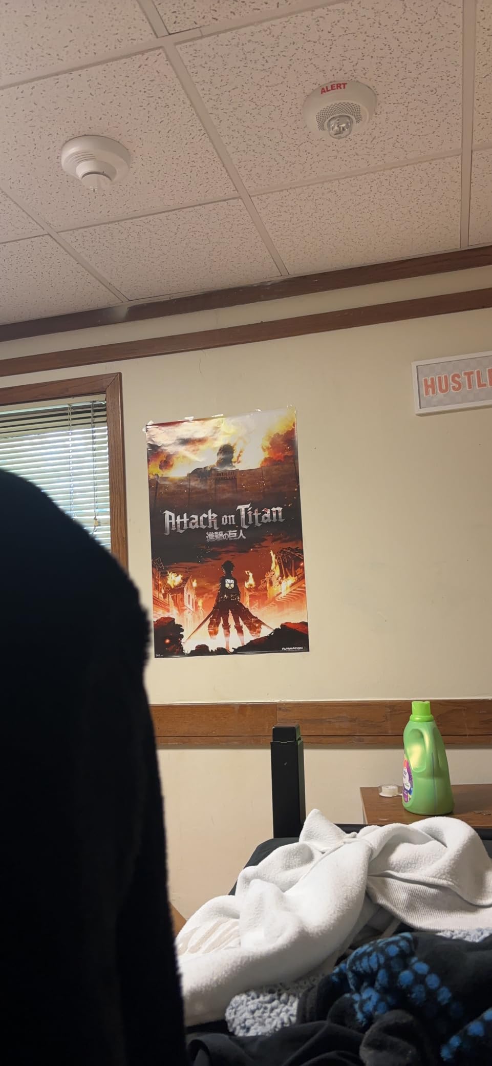 Trends International Attack on Titan - Fire Wall Poster, 22.375