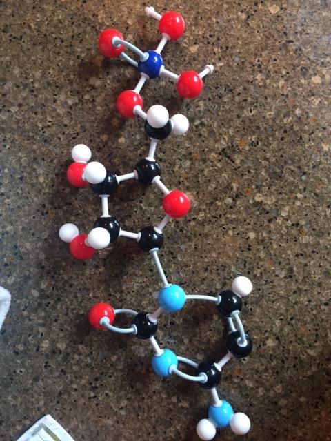 Duluth Labs Organic Chemistry Molecular Model Student Kit - (88 Atoms and 140 Bond Parts) - MM-004 customer photo 1
