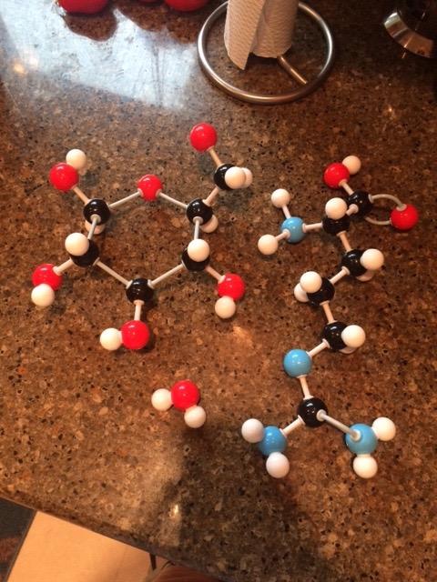 Duluth Labs Organic Chemistry Molecular Model Student Kit - (88 Atoms and 140 Bond Parts) - MM-004 customer photo 2